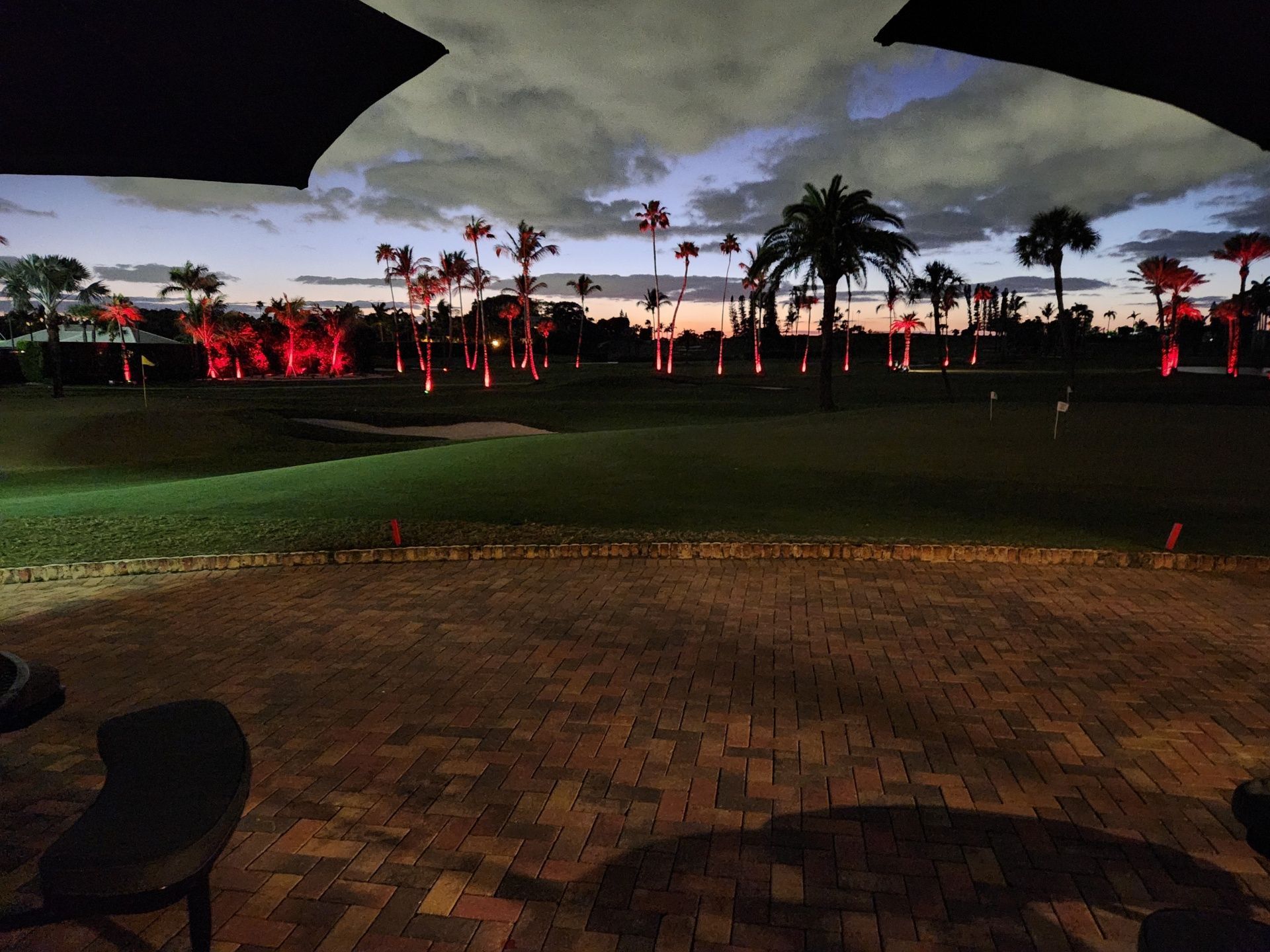 Professional landscape lighting in West Palm Beach